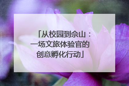 从校园到佘山：一场文旅体验官的创意孵化行动