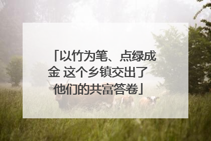 以竹为笔、点绿成金 这个乡镇交出了他们的共富答卷