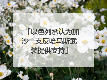 以色列承认为加沙一支反哈马斯武装提供支持