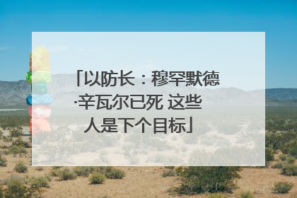 以防长：穆罕默德·辛瓦尔已死 这些人是下个目标
