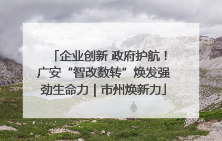 企业创新 政府护航！广安“智改数转”焕发强劲生命力｜市州焕新力