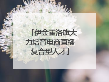 伊金霍洛旗大力培育电商直播复合型人才