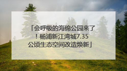会呼吸的海绵公园来了！杨浦新江湾城7.35公顷生态空间改造焕新