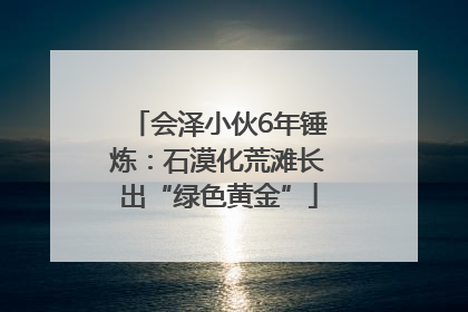 会泽小伙6年锤炼：石漠化荒滩长出“绿色黄金”