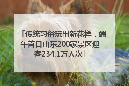 传统习俗玩出新花样，端午首日山东200家景区迎客234.1万人次