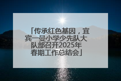 传承红色基因，宜宾一曼小学少先队大队部召开2025年春期工作总结会