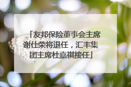 友邦保险董事会主席谢仕荣将退任，汇丰集团主席杜嘉祺接任