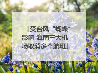 受台风“蝴蝶”影响 海南三大机场取消多个航班