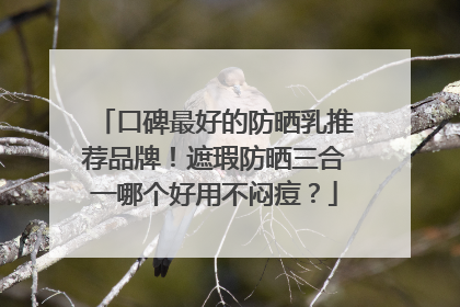 口碑最好的防晒乳推荐品牌！遮瑕防晒三合一哪个好用不闷痘？