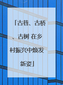 古巷、古桥、古树 在乡村振兴中焕发新姿