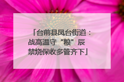 台前县凤台街道：战高温守“粮”辰 禁烧保收多管齐下