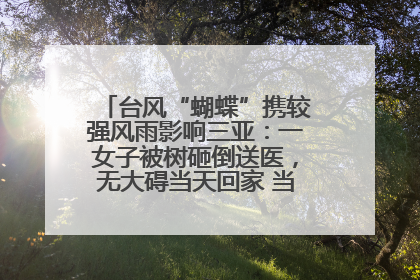 台风“蝴蝶”携较强风雨影响三亚：一女子被树砸倒送医，无大碍当天回家 当地已紧急清障