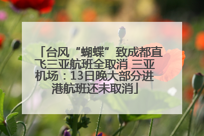 台风“蝴蝶”致成都直飞三亚航班全取消 三亚机场：13日晚大部分进港航班还未取消