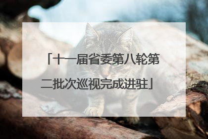 十一届省委第八轮第二批次巡视完成进驻