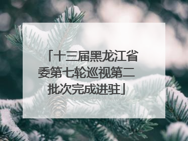 十三届黑龙江省委第七轮巡视第二批次完成进驻