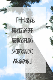 十堰花果街道开展防汛防灾防溺实战演练
