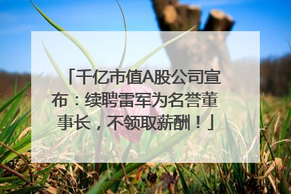 千亿市值A股公司宣布：续聘雷军为名誉董事长，不领取薪酬！