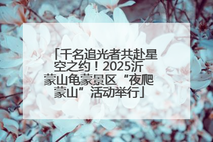 千名追光者共赴星空之约！2025沂蒙山龟蒙景区“夜爬蒙山”活动举行
