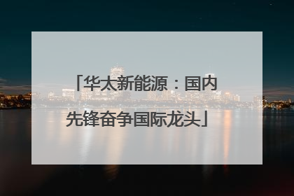 华太新能源：国内先锋奋争国际龙头