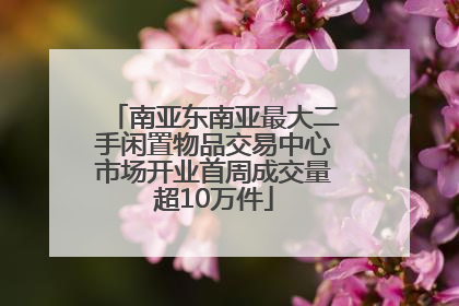 南亚东南亚最大二手闲置物品交易中心市场开业首周成交量超10万件