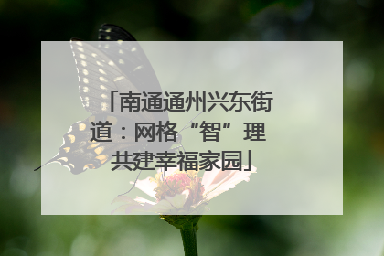 南通通州兴东街道：网格“智”理 共建幸福家园