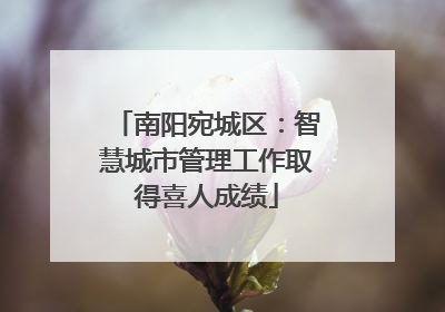南阳宛城区：智慧城市管理工作取得喜人成绩
