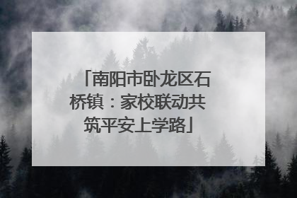 南阳市卧龙区石桥镇：家校联动共筑平安上学路
