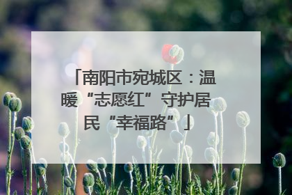 南阳市宛城区：温暖“志愿红”守护居民“幸福路”