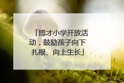 博才小学开放活动，鼓励孩子向下扎根、向上生长