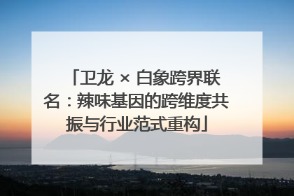 卫龙 × 白象跨界联名：辣味基因的跨维度共振与行业范式重构
