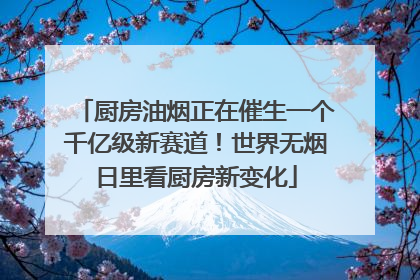厨房油烟正在催生一个千亿级新赛道！世界无烟日里看厨房新变化