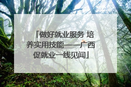 做好就业服务 培养实用技能——广西促就业一线见闻