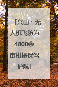 兴山：无人机飞防为4800余亩柑橘保驾护航