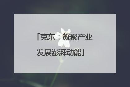 克东：凝聚产业发展澎湃动能
