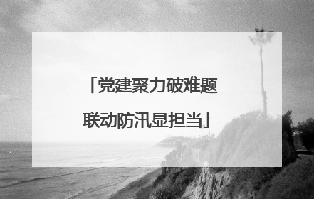 党建聚力破难题 联动防汛显担当