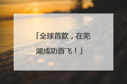 全球首款，在芜湖成功首飞！
