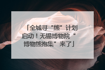 全城寻“熊”计划启动！无锡博物院“博物熊抱集”来了