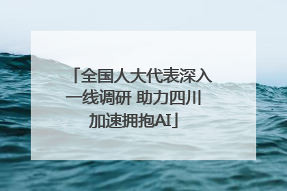 全国人大代表深入一线调研 助力四川加速拥抱AI