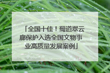 全国十佳！蜀道翠云廊保护入选全国文物事业高质量发展案例