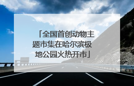 全国首创动物主题市集在哈尔滨极地公园火热开市