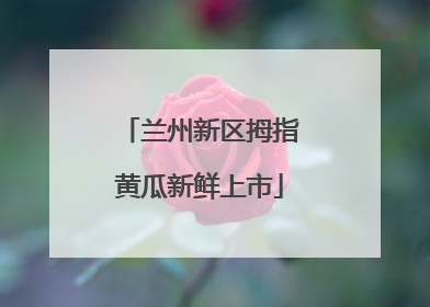 兰州新区拇指黄瓜新鲜上市