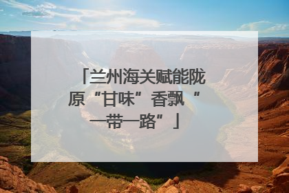 兰州海关赋能陇原“甘味”香飘“一带一路”