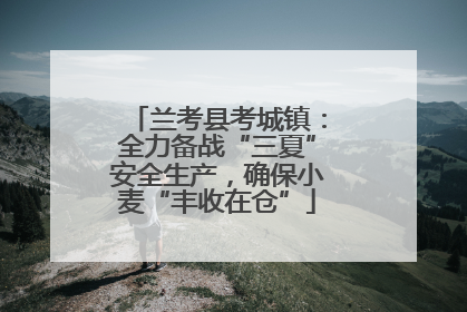 兰考县考城镇：全力备战“三夏”安全生产，确保小麦“丰收在仓”