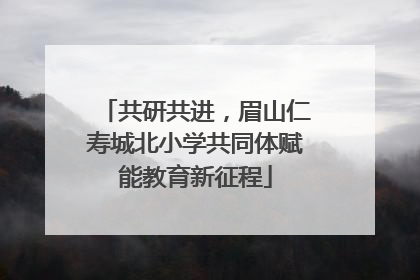 共研共进，眉山仁寿城北小学共同体赋能教育新征程