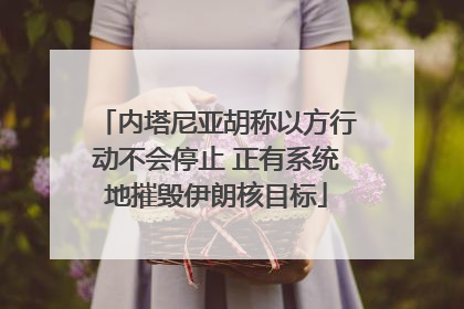 内塔尼亚胡称以方行动不会停止 正有系统地摧毁伊朗核目标