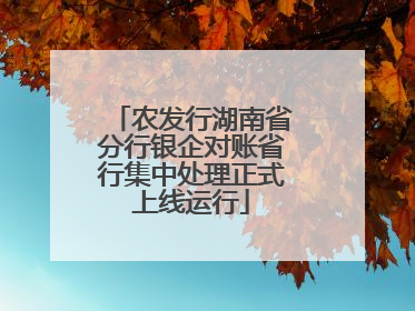农发行湖南省分行银企对账省行集中处理正式上线运行