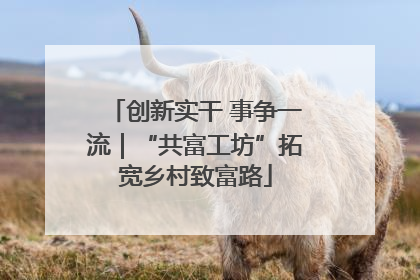创新实干 事争一流｜“共富工坊”拓宽乡村致富路