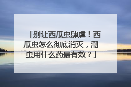 别让西瓜虫肆虐！西瓜虫怎么彻底消灭，潮虫用什么药最有效？