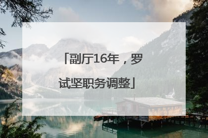 副厅16年，罗试坚职务调整