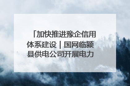 加快推进豫企信用体系建设｜国网临颍县供电公司开展电力行业信用企业现场咨询访谈工作